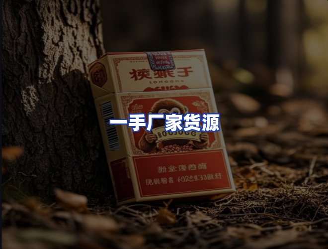 专业团队